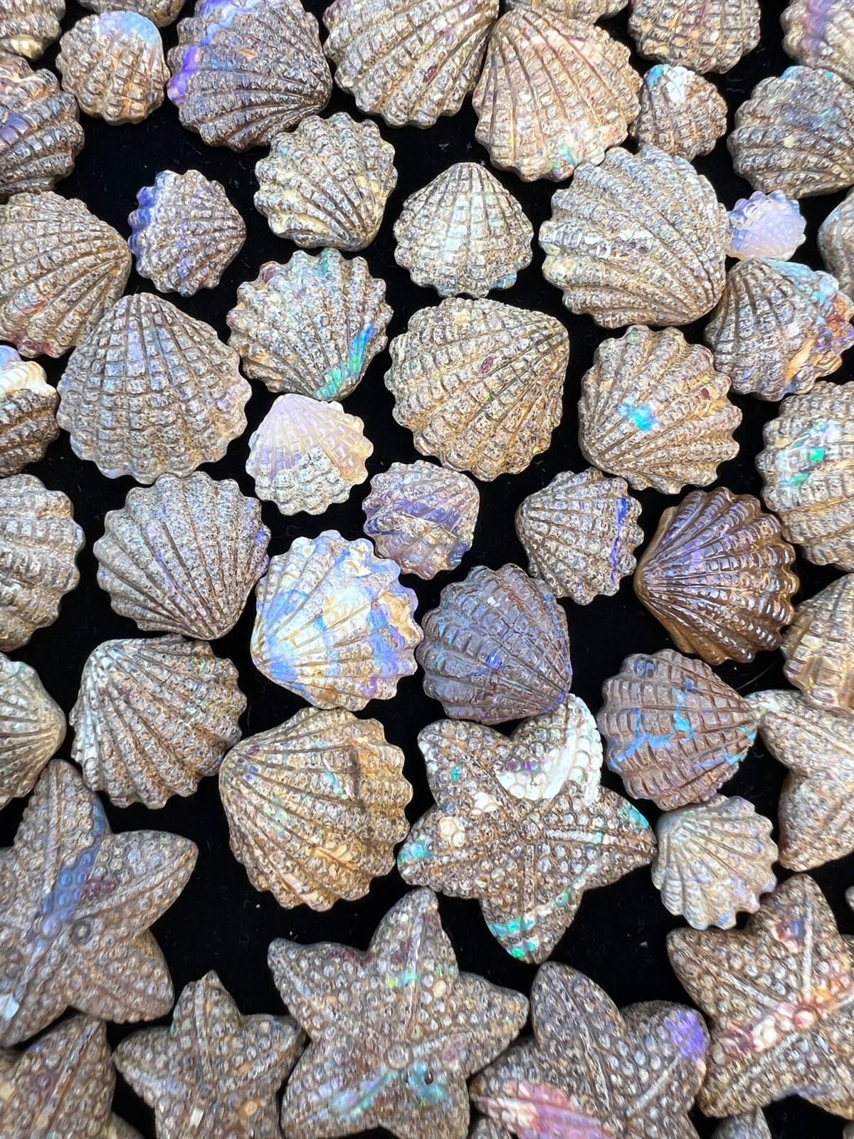 Exquisite 18.50 Ct Australian Boulder Opal Matrix Scallop Shell Carving